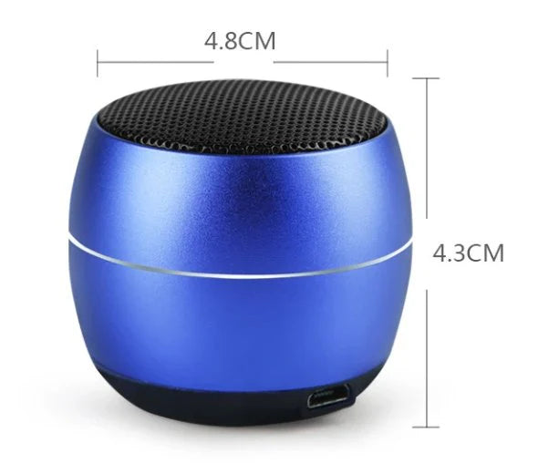 Senxin Portable Wireless Speaker