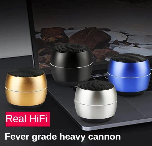Senxin Portable Wireless Speaker