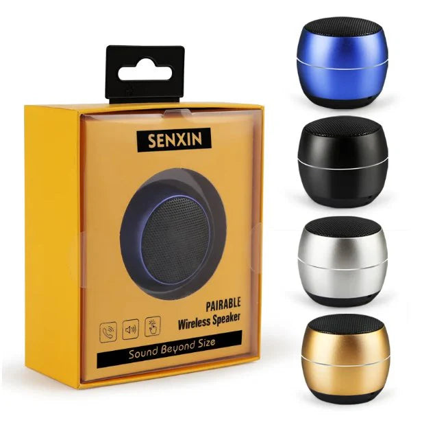 Senxin Portable Wireless Speaker