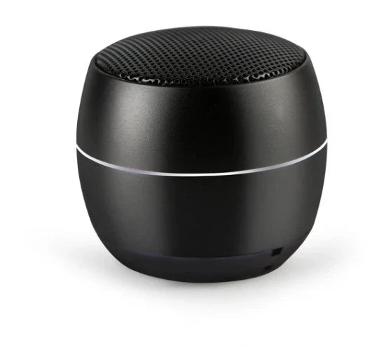 Senxin Portable Wireless Speaker